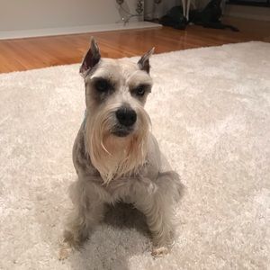 Meet your Posher, Irina